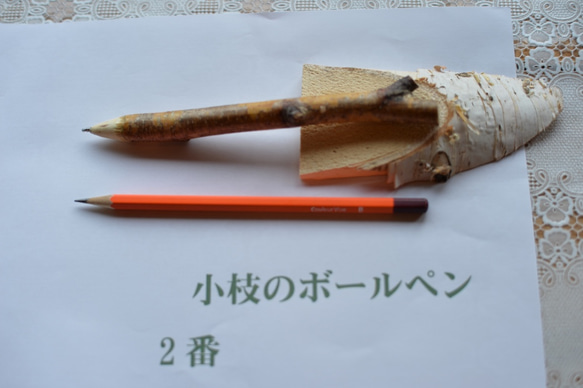 小枝のボールペン　No.2 　白樺 1枚目の画像