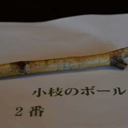 小枝のボールペン　No.2 　白樺 2枚目の画像