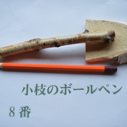 小枝のボールペン　No.8 　白樺 1枚目の画像
