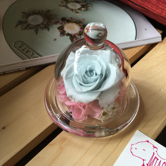 永生玫瑰玻璃花盅（baby藍櫻花粉）。母親節禮物。畢業禮物 第3張的照片