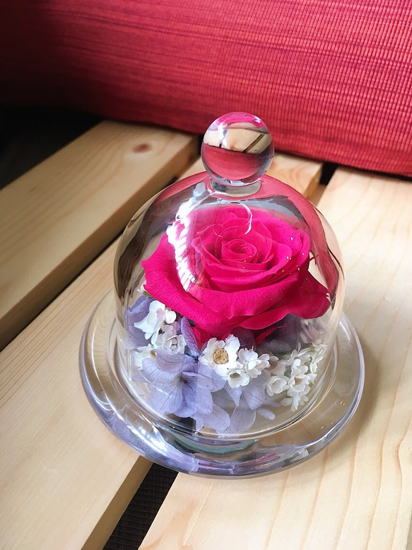 永生玫瑰玻璃花盅（威尼斯紅薰衣草紫） 第1張的照片
