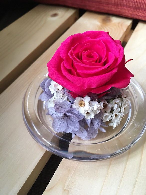 永生玫瑰玻璃花盅（威尼斯紅薰衣草紫） 第2張的照片