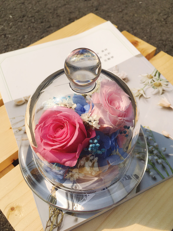 永生玫瑰玻璃花盅（大）。母親節禮物。畢業禮物 第2張的照片