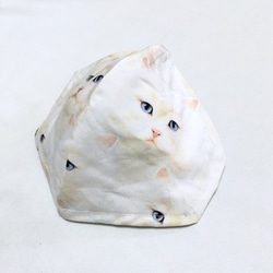 見つめてくる猫ちゃん 白猫 立体マスク マスク2021 2枚目の画像