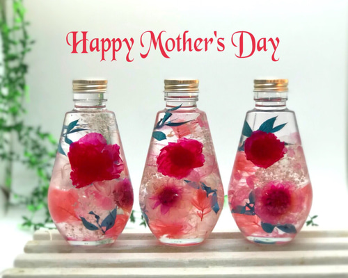 カーネーションのハーバリウム ハーバリウム・植物標本 michi michi