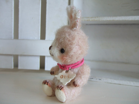 1470小兔子 第5張的照片
