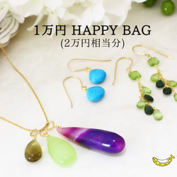 【送料無料】2021年 新春HAPPY BAG 1万円(2万円相当分のジュエリー) 2枚目の画像