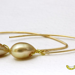 耳元から輝きを シャンパンゴールド 淡水パール 14kgf Vシェイプピアス 1枚目の画像