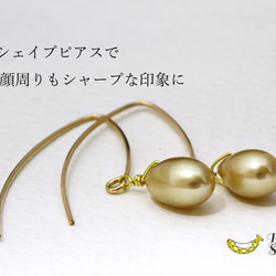 耳元から輝きを シャンパンゴールド 淡水パール 14kgf Vシェイプピアス 3枚目の画像