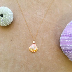 ハワイ購入【希少】Puka Shell Necklace プカシェル ネックレス PUKA SHELL プカシェルの販売中作品一覧 | ハンドメイド通販・販売のCreema