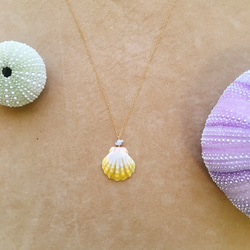 ハワイ購入【希少】Puka Shell Necklace プカシェル ネックレス PUKA SHELL プカシェルの販売中作品一覧 | ハンドメイド通販・販売のCreema