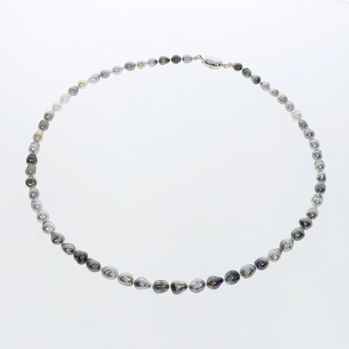 黒蝶真珠 マルチカラー ネックレス 5-7mm 黒蝶パールケシ Silver 