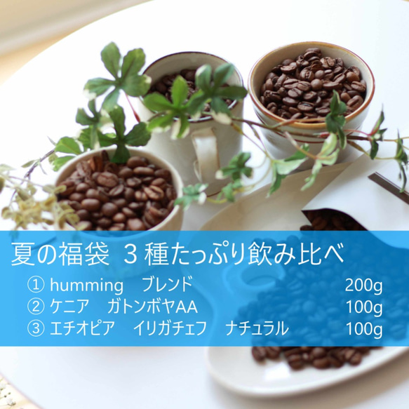 【08/31まで】コーヒーたっぷり3種400ｇ飲み比べ 新作ブレンドも楽しめます♪『夏の福袋』送料無料　スペシャルティ 1枚目の画像