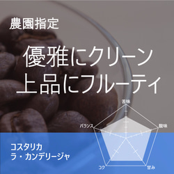 コスタリカ 400g(200g×2) ラ・カンデリージャ農園 送料無料 クリーン 雑味少ない 1枚目の画像