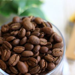 【在庫少】トロピカルマウンテン 華やかで飲みやすい 200g パプアニューギニア コーヒー豆 3枚目の画像