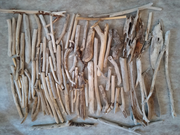 天然流木工作用素材小型80本入り 木材・板 maestrosam 通販 10268490  