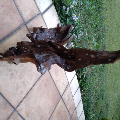 天然流木インテリア、大型オブジェ 立体・オブジェ maestrosam 通販