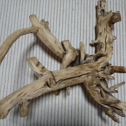 0_4fa7a0532315c1fda05110d03e9a