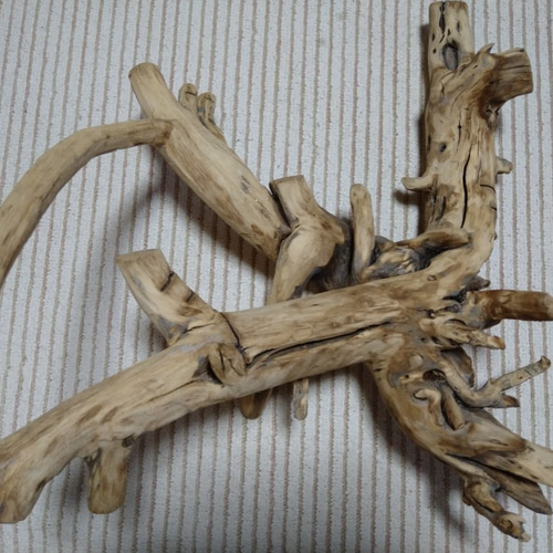 大型変わり流木インテリア、華道、オブジェ用 立体・オブジェ