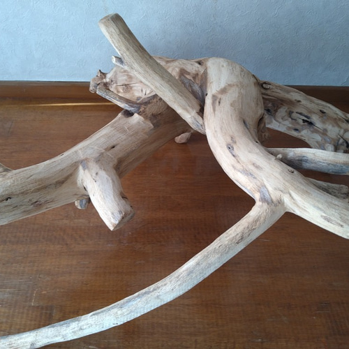 大型変わり流木インテリア、華道、オブジェ用 立体・オブジェ