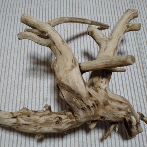 流木オブジェ　流木インテリア 大型変わり流木インテリア、華道、オブジェ用 立体・オブジェ