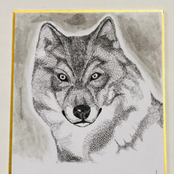 手描きイラスト ペン画 オリジナル 狼 直筆一点物 2枚目の画像