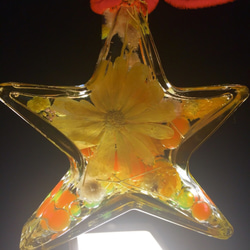 星 フラワー  ハーバリウム  花 プレゼント 誕生日 ギフト インテリア 花瓶 スター 黄色 イエロー インテリア 2枚目の画像