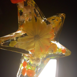 星 フラワー  ハーバリウム  花 プレゼント 誕生日 ギフト インテリア 花瓶 スター 黄色 イエロー インテリア 3枚目の画像
