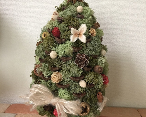 おっきな松ぼっくりのモスツリー〜グリーン〜 リース Leaf-Dew 通販