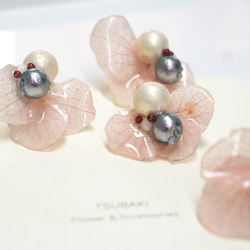 <日本棉珍珠系列>  貼耳耳環 第2張的照片