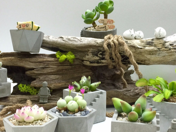 [想泥]仿生植物搭配專屬可愛水泥盆禮品、擺飾小物 第7張的照片