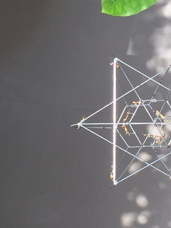 すべてワイヤーで作った、12星座の星模様（シンボルマークのオブジェ 