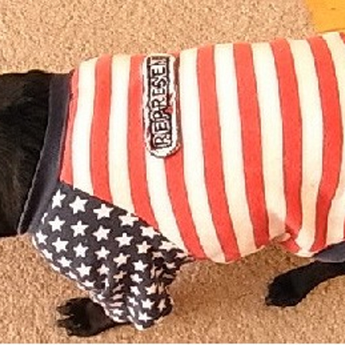 A4印刷型紙 犬服タンクトップ(S~LL/ハンドメイド/洋裁 A4印刷型紙 犬服タンクトップ(S~LL/ハンドメイド/洋裁