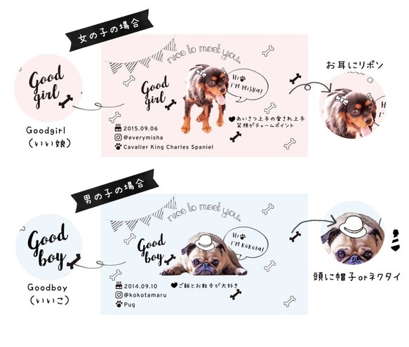 うちの子オリジナル My sweetie card case #Goodboy #Goodgirl 4枚目の画像