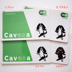 キャバリアICステッカー Cavaca全4種 2枚目の画像
