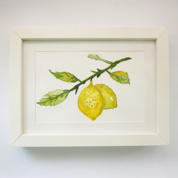 Watercolor picture - lemon 第1張的照片