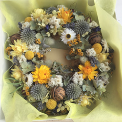 母の日ギフトに♡ 春の定番イエロー系♡ヘリクリサムと紫陽花のリース(20cm) 6枚目の画像