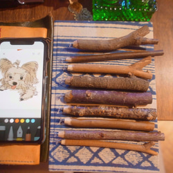 ナチュラルブランチ携帯電話描画スタイラス-未知の木 3枚目の画像