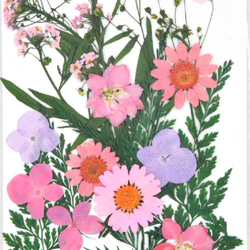 ドライフラワー　押し花　DIY用　ピンク系ミックス 1枚目の画像