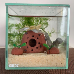 【ミニサイズアクアリウム】水槽用アクセサリー　小魚＆小エビの隠れ家に　シュリンプハウス　オーナメント　 2枚目の画像