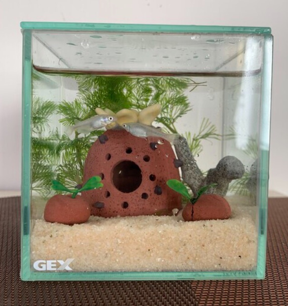 【ミニサイズアクアリウム】水槽用アクセサリー　小魚＆小エビの隠れ家に　シュリンプハウス　オーナメント　 2枚目の画像