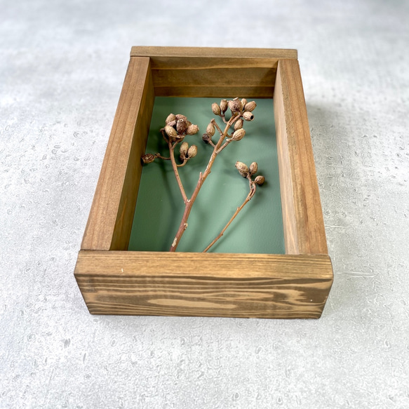 ❁Botanical Collection ❁Wood Box ユーカリ　アンバーナッツ【30820】 2枚目の画像