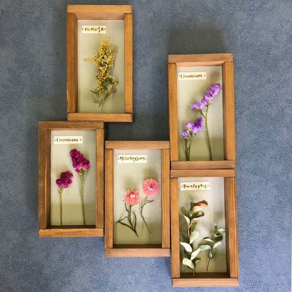 Botanical Collection＊Wood Box＊リモニウム ピンク[Or-Wb2] 5枚目の画像