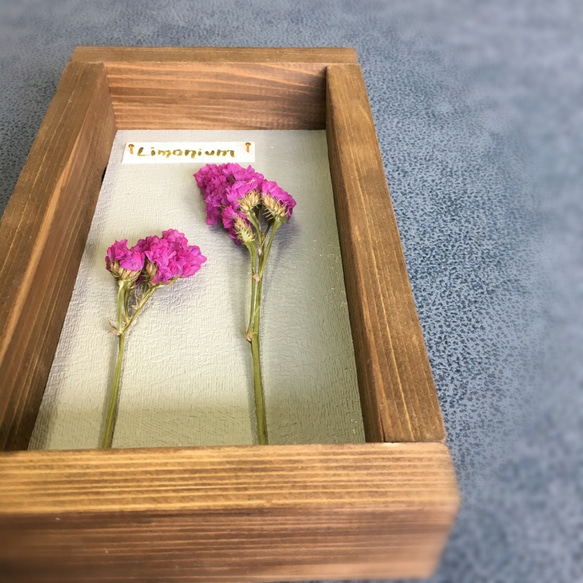Botanical Collection＊Wood Box＊リモニウム ピンク[Or-Wb2] 6枚目の画像