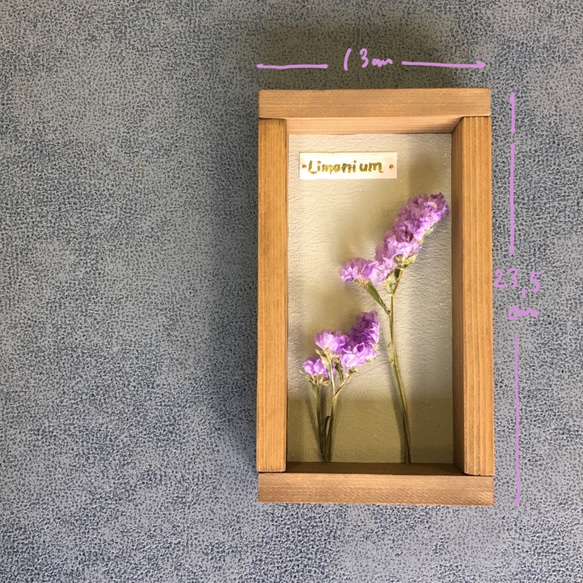 Botanical Collection＊Wood Box＊リモニウム 紫[Or-Wb5] 4枚目の画像