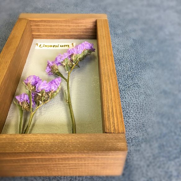 Botanical Collection＊Wood Box＊リモニウム 紫[Or-Wb5] 6枚目の画像