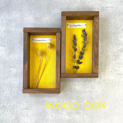 ❁Botanical Collection ❁Wood Box 【#1991】壁色：イエロー 1枚目の画像