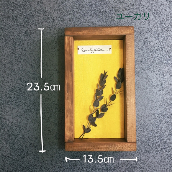 ❁Botanical Collection ❁Wood Box 【#1991】壁色：イエロー 3枚目の画像
