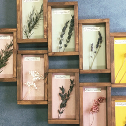 ❁Botanical Collection ❁Wood Box 【#1991】壁色：イエロー 2枚目の画像