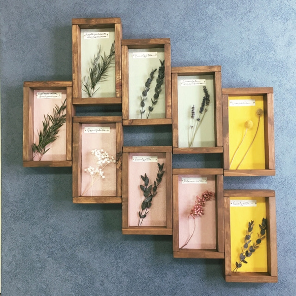 ❁Botanical Collection ❁Wood Box 【#1991】壁色：イエロー 6枚目の画像